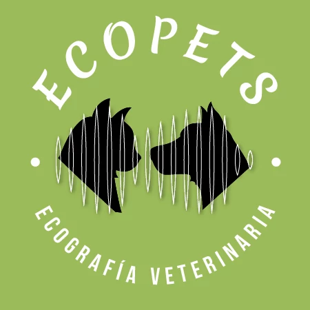 Servicio de Ecografía Veterinaria Ecopets